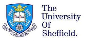 University 6